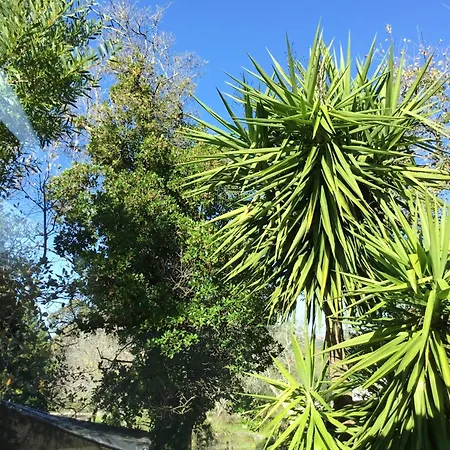 Charming House Near Porto De Mos With Large Garden * Pedreiras (Leiria)