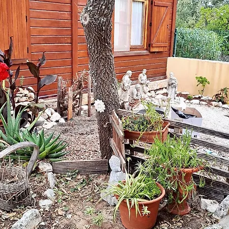 Charming House Near Porto De Mos With Large Garden